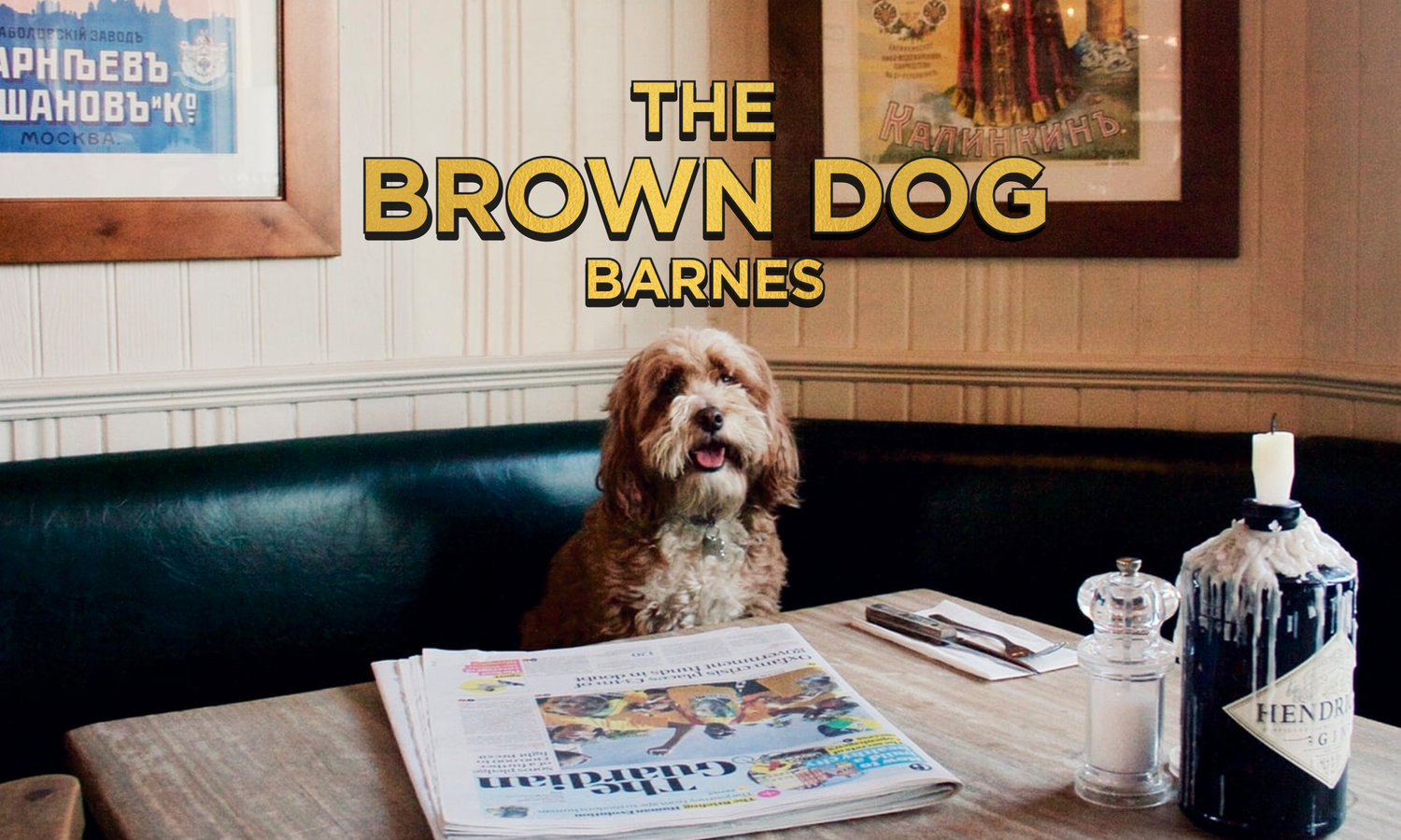 The Best Dog Friendly Pubs in London